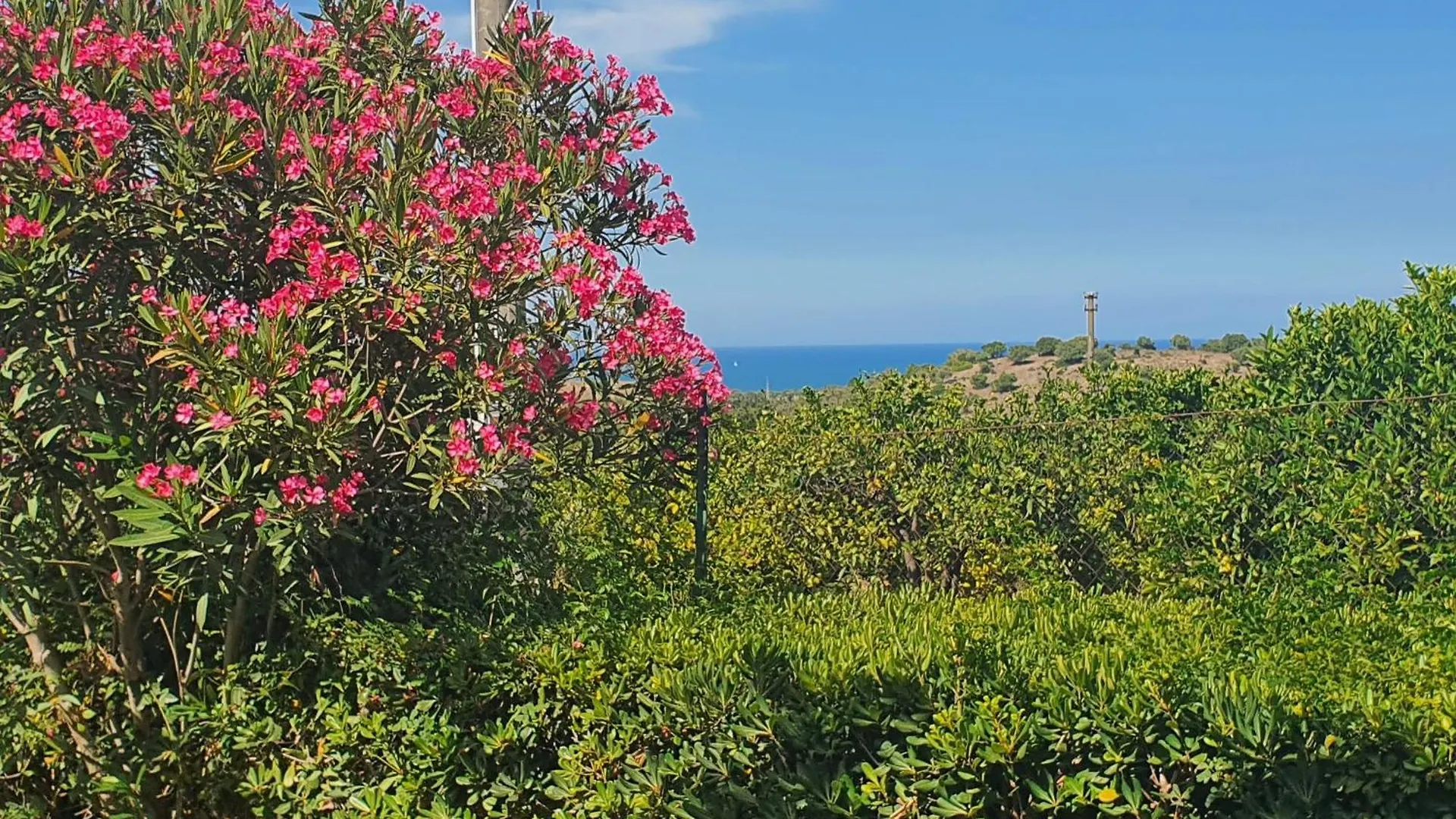 Bauernhof Agriturismo Borgo Levante Agnone Bagni Italien